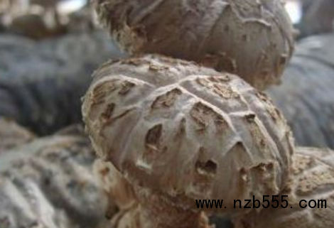 微信截圖_20210402191200