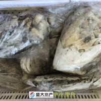 單凍墨魚/花枝/烏賊，干凍沒有泡水，產自福建東山島