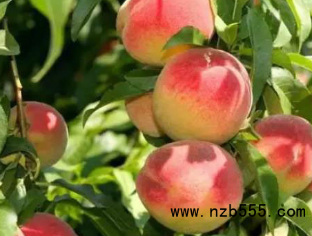 微信截圖_20210419180835