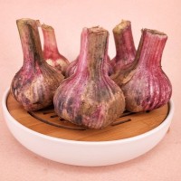 山東大蒜一件代發 干蒜，大干蒜 專業倉儲 ERP對接 5斤裝