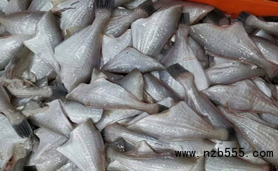 微信截圖_20210623134132