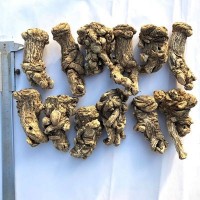 源產(chǎn)地直銷(xiāo)甘肅岷縣當(dāng)歸頭當(dāng)歸頭1斤13頭左右