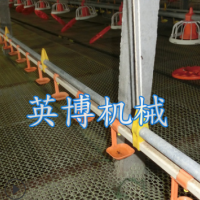 供應(yīng) 養(yǎng)雞水線設(shè)備 肉雞水線 自動化養(yǎng)殖水線 英博