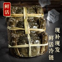 10只全母滿黃大閘蟹鮮活大螃蟹包郵母蟹禮盒1-4兩源產地冷鏈直發(fā)