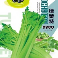 現貨供應芹菜籽 產地貨源芹菜子蔬菜種植批發(fā)