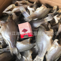 鱸魚(yú)干 深海鱸魚(yú)干 地?cái)傉箷?huì)專(zhuān)供