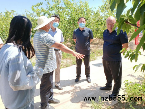 河北：寧晉縣組織開展農業技術培訓會