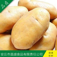 供應出口中東、東南亞級保鮮荷蘭7號、15號（價格面議）