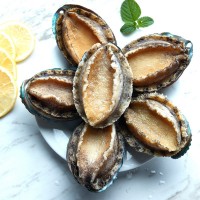閩正煮凍鮑魚4頭-32頭鮑魚OEM、ODM定制生產(chǎn)來料加工海鮮水產(chǎn)凍品  2斤起批