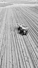 耕耘不輟， 闊步邁向農業強國