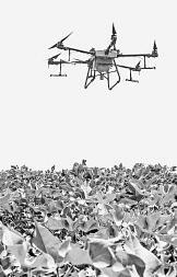 耕耘不輟， 闊步邁向農業強國