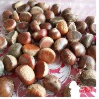 遷西栗子新鮮，生板栗新鮮，遷西板栗子