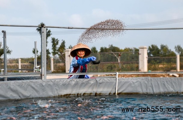 微信截圖_20250324160816