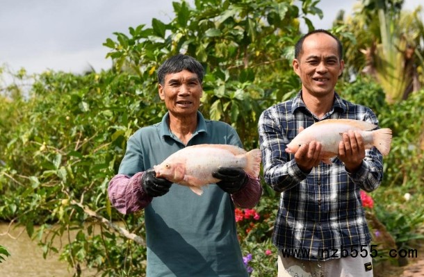 微信截圖_20250324160914