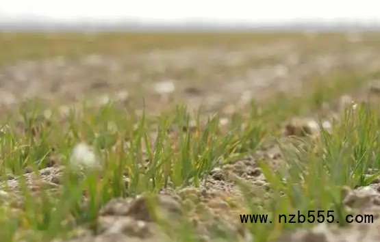 微信截圖_20250327174739