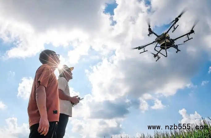 微信截圖_20250414172339