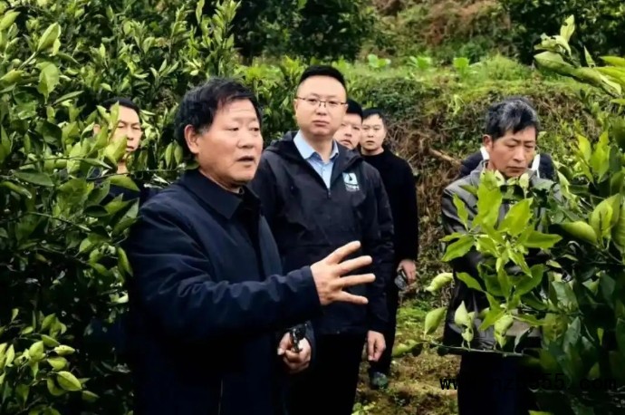 微信截圖_20250526140039