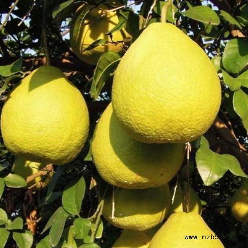 12543574497_808712636