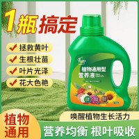 植物營(yíng)養(yǎng)液通用型家用花肥通用化花卉盆栽綠蘿葉綠植富貴竹肥料