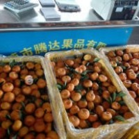 南豐桔銷(xiāo)量