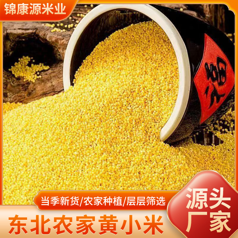 O1CN01hVxwyF24IbJP5eNjq_!!2220254027368-0-cib