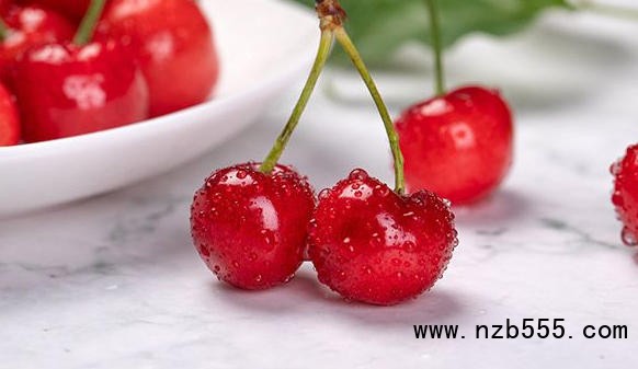 ScreenShot_2026-01-23_162818_969