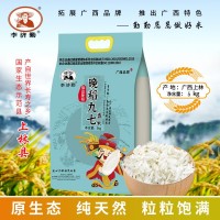 香軟絲苗米5kg長粒香大米10斤一袋新鮮南方秈米家用餐飲大米批發