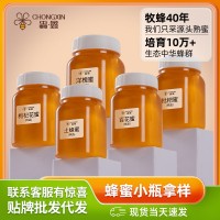 中蜂藥蜜蜂蜜拿樣工廠源頭五味子蜜土蜂蜜枇杷蜜百花多款批發(fā)分銷