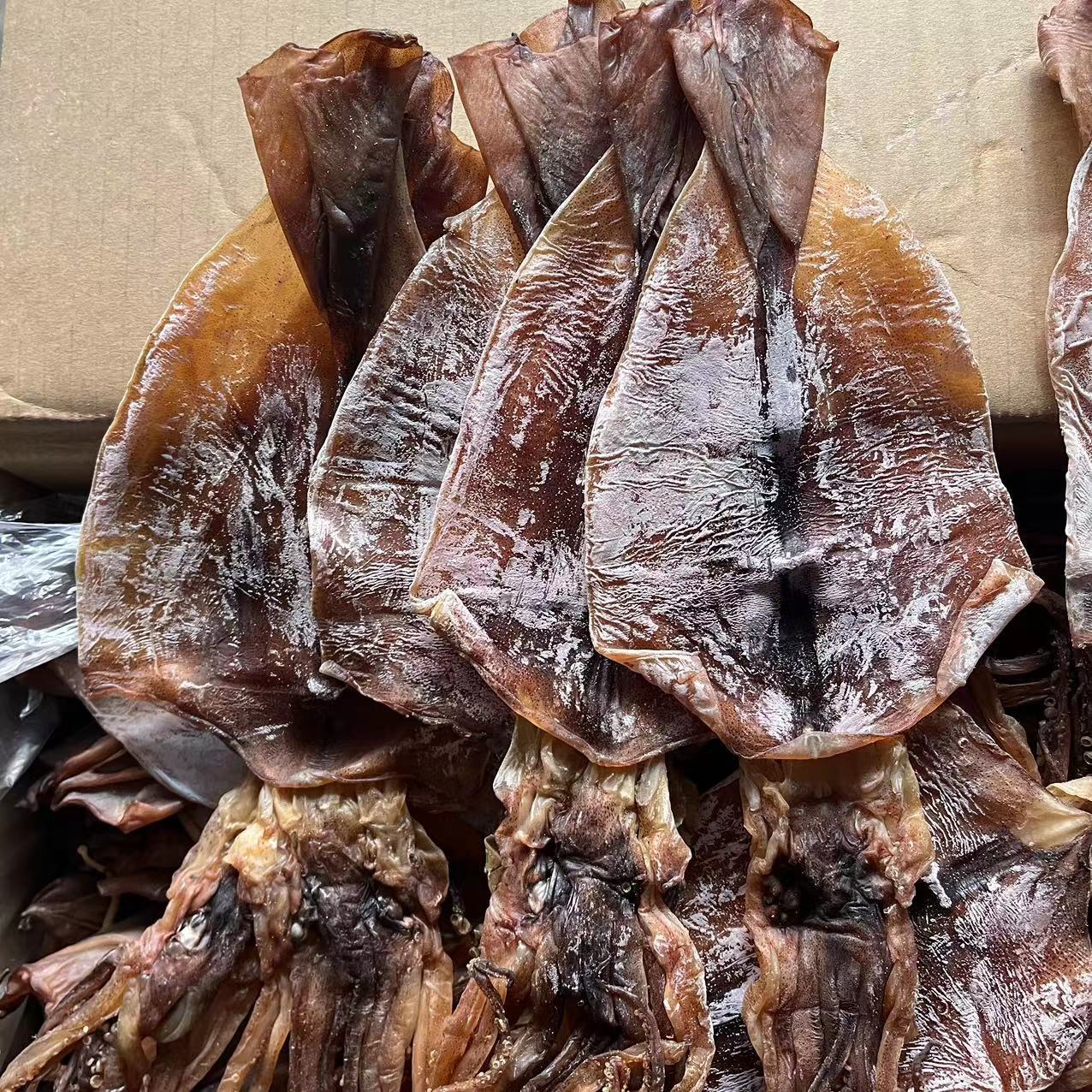 O1CN01eH1aEU21qXdFzugMb_!!2208011367036-0-cib