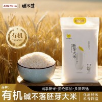 現貨批發東北大米堿不落有機胚芽米真空包裝軟糯營養米5kg胚芽米
