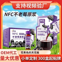 NFC不老莓濃縮原漿汁批發代發原液不老莓原漿飲品袋裝源頭工廠