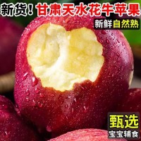 【越放越粉甜】花牛蘋果甘肅蛇果當季新鮮粉面沙甜整箱10/5斤批發