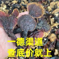 廠家批發大量干貨西藏中號靈芝中藥材煮水煲湯泡酒養生滋補