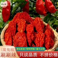 魔鬼辣云南涮涮辣500g變態辣巨辣提辣增辣魔鬼椒象鼻辣德宏涮涮辣
