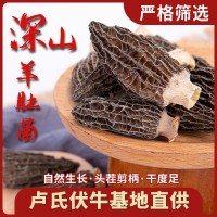 羊肚菌菌菇干貨批發干蘑菇食用菌現貨供應食用農產品煲湯食材優質