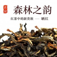 滇紅勐海古樹(shù)曬紅2025年頭春茶高濃香薯香木香茶葉500克批發(fā)