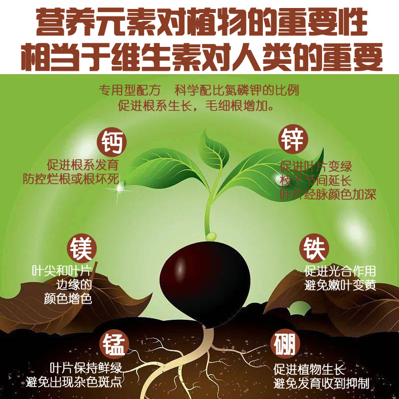 O1CN01ddtZ6r2Ck5st1lOJ6_!!2215783368511-0-cib