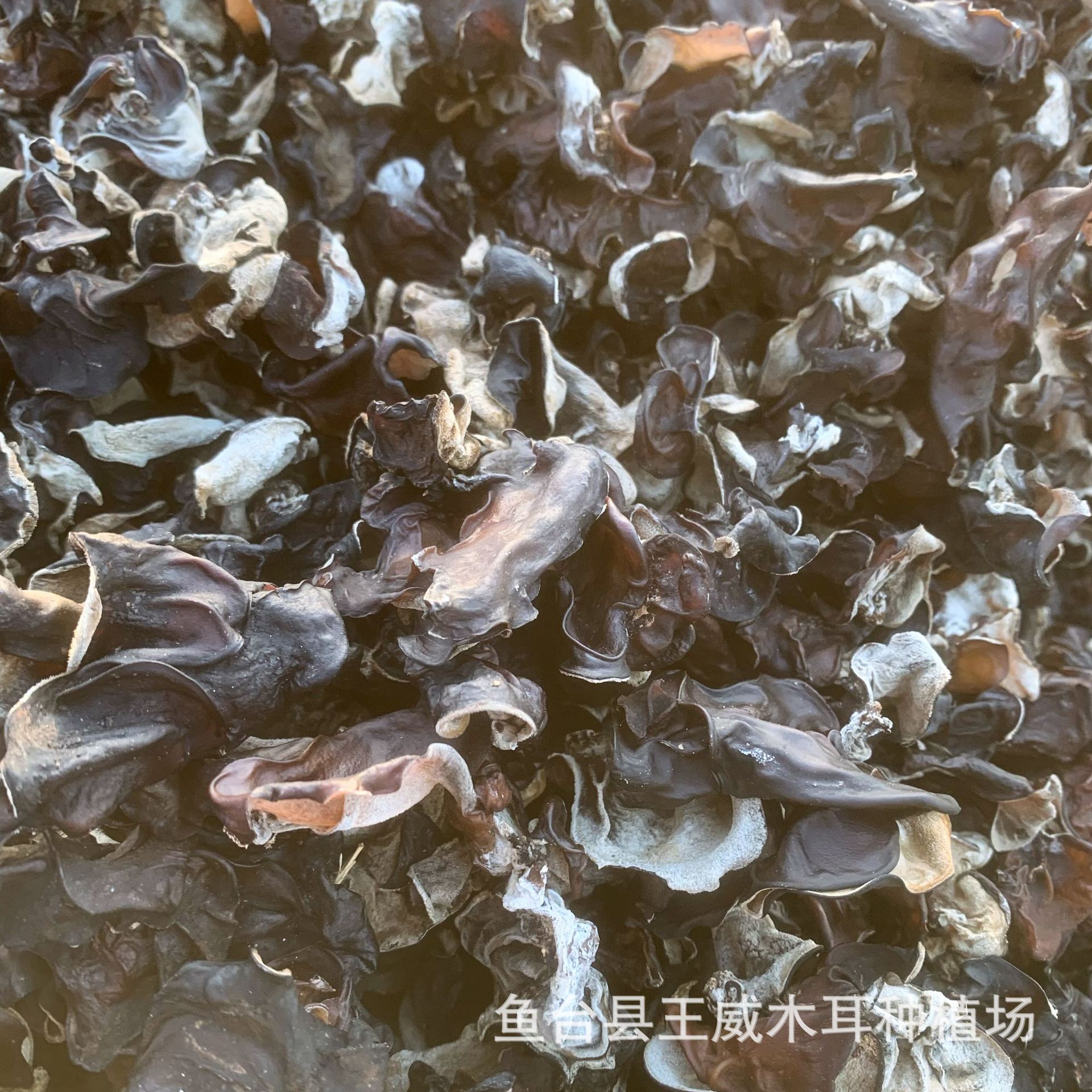 O1CN01ZH36lw2EV61Dwgb6R_!!2214606218749-0-cib