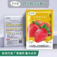 奶草莓種子春秋家庭盆栽四季水果種孑酸甜可口草莓籽支持一件代發(fā)