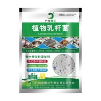 植物乳桿菌乳酸菌 植物乳桿菌凍干粉益生菌 動物乳酸菌飼料添加劑