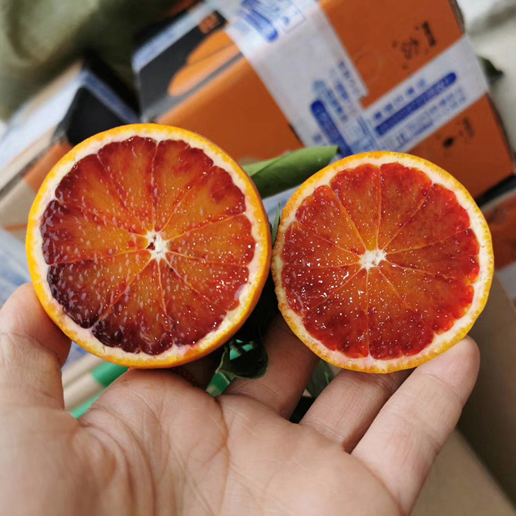 O1CN011SO84d1t4tUhJVnPl_!!2200696375849-0-cib