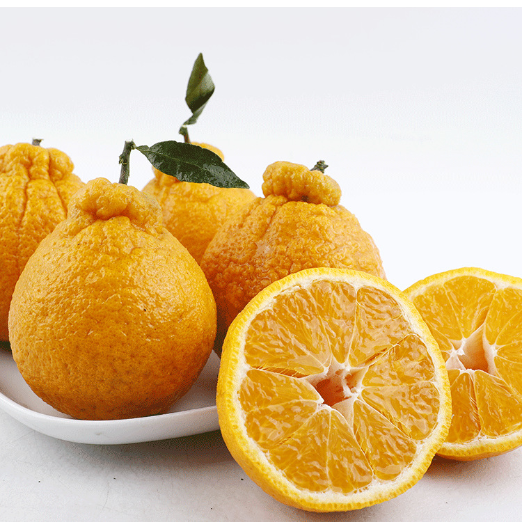 11008568578_1421287580