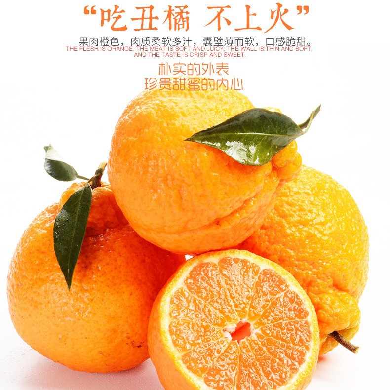 O1CN01Tc6SfM2GDoZgrb5We_!!2693248982-0-cib