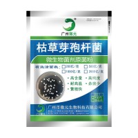 枯草芽孢桿菌1000億 水產(chǎn)養(yǎng)殖水質(zhì)凈化 微生物菌肥生物有機(jī)肥添加