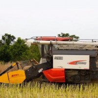 五豐 玉米小麥大豆艾草收割四輪拖拉機前置割臺收割機