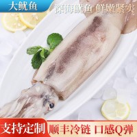 大魷魚鮮活冷凍超大魷魚整只去內臟新鮮冷凍燒烤鐵板商用海鮮水產
