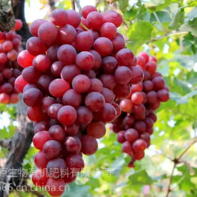 ScreenShot_2026-03-23_162726_749