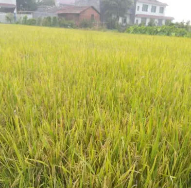 ScreenShot_2026-03-23_162957_581