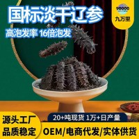 國標高泡發純野生淡干海參工廠遼參刺參大連海參批發淡干海參干貨