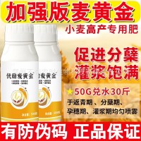 麥黃金水溶肥小麥高產專用肥葉面肥小麥增產麥黃金分蘗寶套餐正品